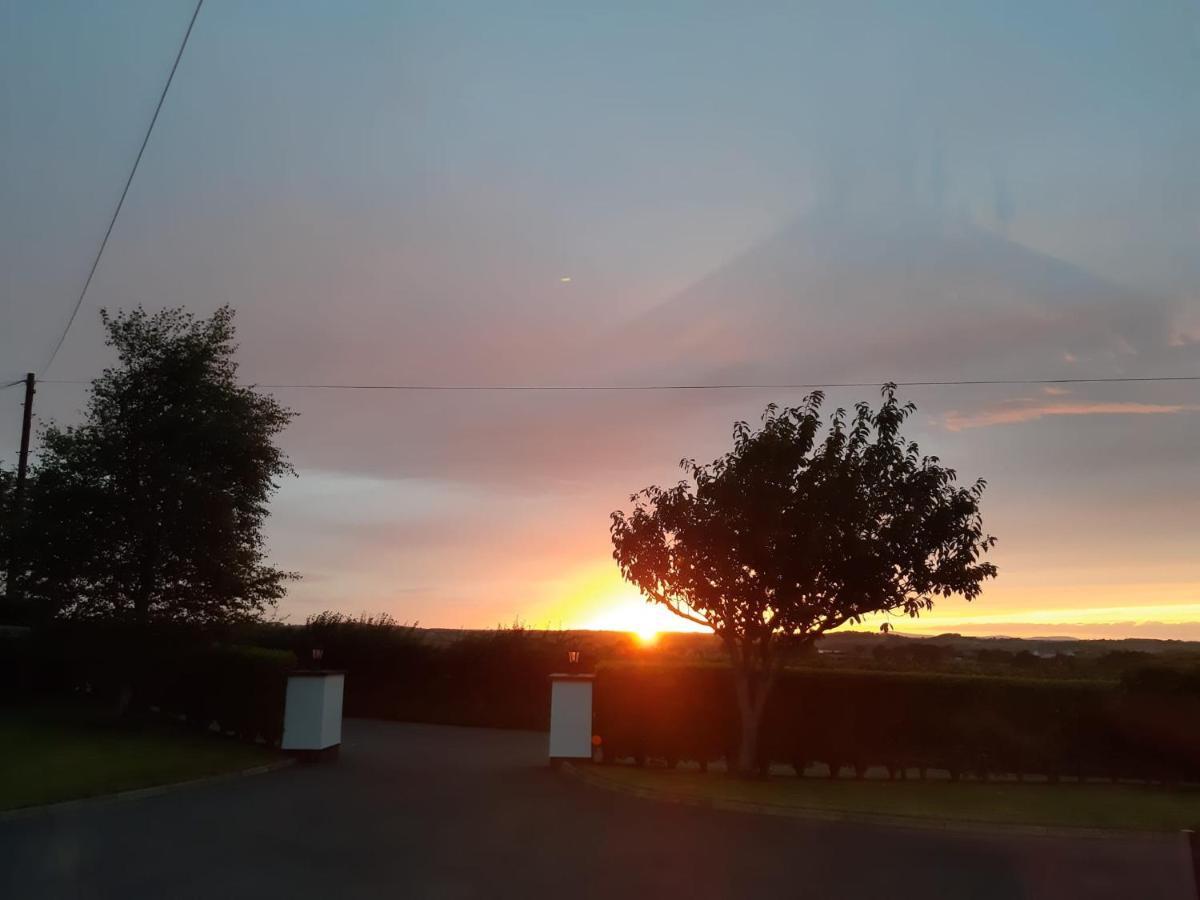 Lecale Bliss Panzió Downpatrick Kültér fotó